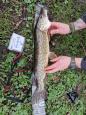 IMG-20240224-WA0131.jpg