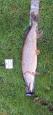 IMG-20240224-WA0140.jpg