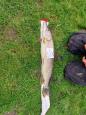 IMG-20240224-WA0143.jpg