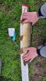 IMG-20240224-WA0148.jpg