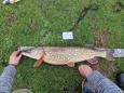 IMG-20240224-WA0155.jpg