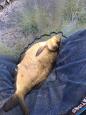 IMG-20200520-WA0003.jpg