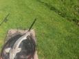 IMG-20200601-WA0023.jpg