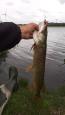 IMG-20200606-WA0001.jpg