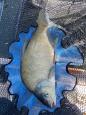 IMG-20210717-WA0000.jpg
