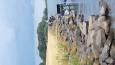 IMG-20230722-WA0000.jpeg