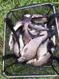 IMG-20231025-WA0002.jpg