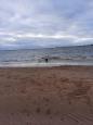 IMG-20231226-WA0000.jpg