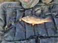 IMG-20200412-WA0014.jpg